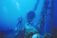 Andrew_fujikawa_small