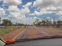 Australia_locusts_0001